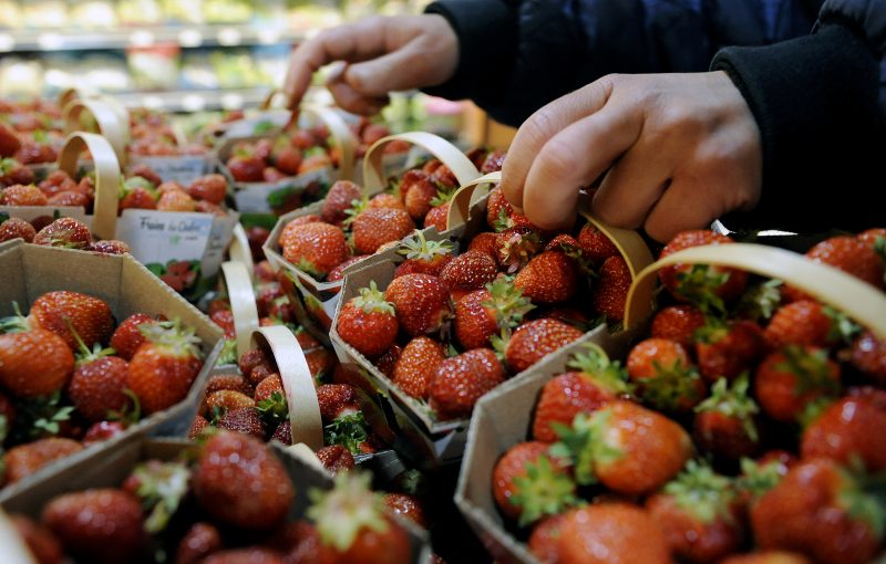 La saison des fraises a débuté le 30 mai dernier dans la région. | Photo TC Média - Archives