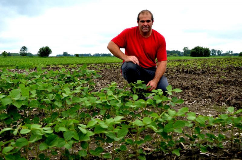 L’agriculteur Patrick Benoit a choisi de planter plus de soya en raison du retard occasionné par le mauvais temps. | Photo: TC Media – Julie Lambert
