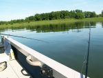Le lac St-Pierre en piètre état