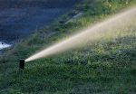 Arrosage extérieur : appel à la réduction du gaspillage de l’eau