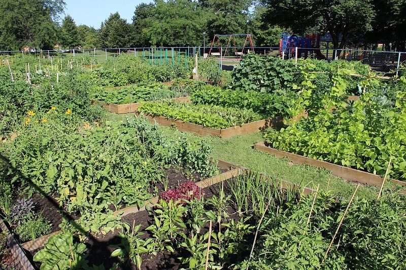 La Ville de Contrecœur cherche à implanter un jardin communautaire. | Gracieuseté
