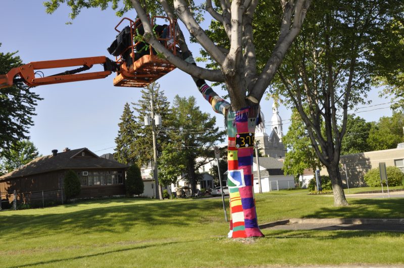 Un arbre est recouvert de tricot au parc Regard-sur-le-Fleuve. | Ville de Sorel-Tracy