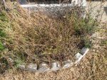 Les Sorelois ne peuvent plus fleurir la tombe de leurs proches