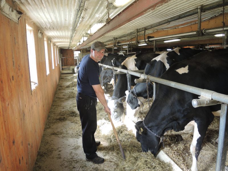Le vice-président de la Fédération des producteurs laitiers de la Montérégie-Est, François Cournoyer, craint de perdre une part du marché advenant l’entente d’un accord de libre-échange transpacifique. | TC Média - Sarah-Eve Charland
