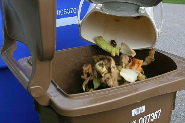 La collecte des matières organiques permettra leur compostage. | Photo - gracieuseté