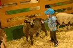 Une édition de l’Expo agricole sous le signe de la nouveauté