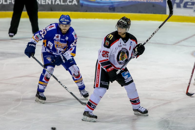 Le vétéran Stéphane Roy a pris sa retraite comme joueur de hockey le 20 juillet. | TC Média - Pascal Cournoyer