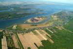 L’île du Moine, un grand pâturage actuellement inutilisé