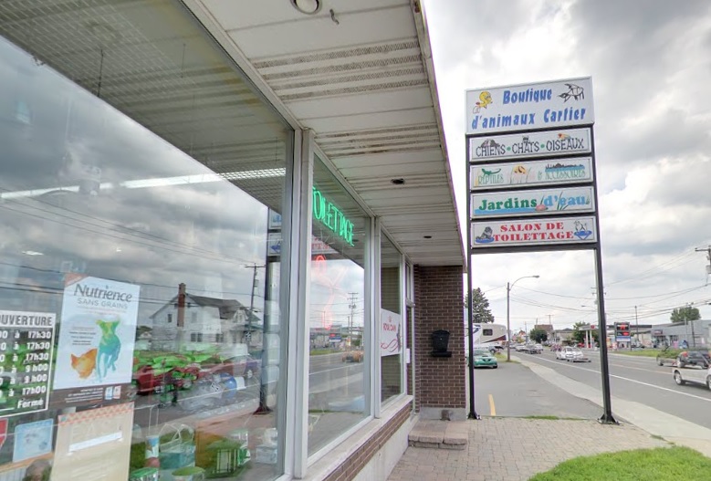 La Boutique d'animaux Cartier, à Sorel-Tracy, a été victime d'un vol dans la nuit du 21 et du 22 octobre. | Photo: Capture d'écran - Google Maps