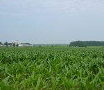 Le prix des terres agricoles a doublé au cours des dernières années