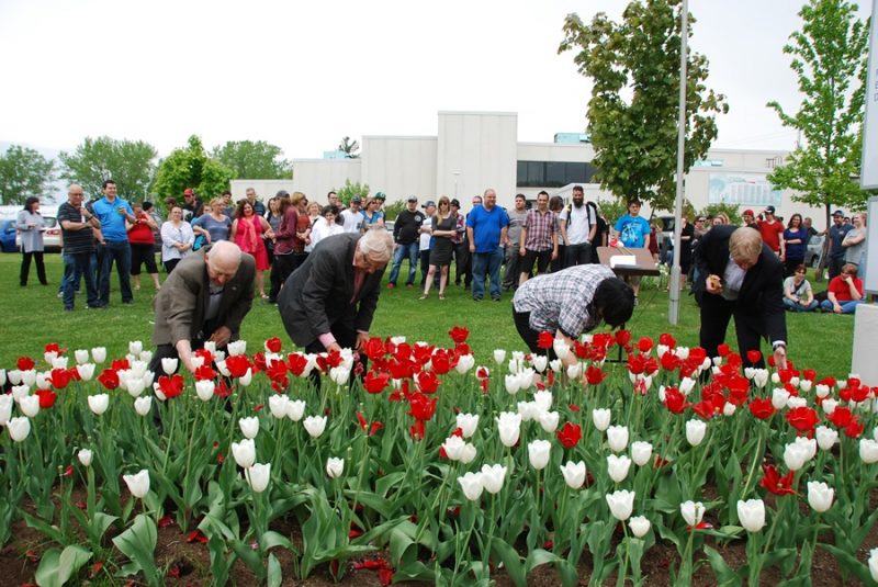La cérémonie de floraison du jardin de tulipes a eu lieu le 24 mai. | Gracieuseté