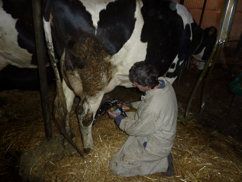 Les producteurs laitiers de la région s’inquiètent de l’entente survenue le 5 octobre sur le Partenariat transpactifique. | Photo TC Média - Archives