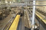 Une usine de fabrication de fromage pourrait voir le jour à Sorel-Tracy