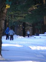 Le Parc régional des Grèves pourrait s’agrandir