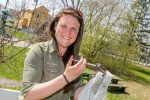 Un refuge d’animaux sauvages verra le jour à Sainte-Anne-de-Sorel