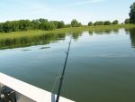 Les pêcheurs de Sainte-Anne-de-Sorel restent avec l’AFC du lac Saint-Pierre