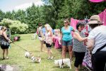 Une fête célébrera les chiens de la région