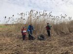 Deuxième édition du nettoyage des berges à Contrecœur le 28 avril