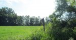 Subvention de 100 000 $ pour protéger la biodiversité du lac Saint-Pierre