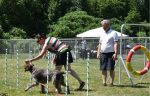 Doggy Party : un rendez-vous pour les amoureux des chiens le 6 juillet