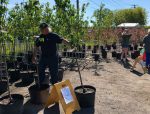 Près de 300 personnes à la fête de l’environnement à Contrecœur