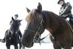 La SQ déploie ses policiers à cheval dans la MRC de Pierre-De Saurel