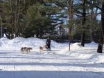 Des activités pour célébrer les Plaisirs d’hiver