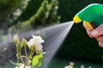 La Ville de Contrecœur réglemente l’utilisation des pesticides sur son territoire