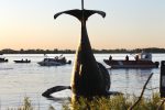 Une grue cueille la baleine à bosse décédée à Sainte-Anne-de-Sorel