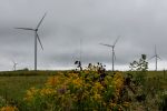 Le vent des éoliennes servira à la relance économique