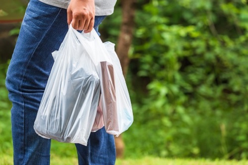 Lors de la séance du 5 octobre, le conseil municipal de la Ville de Sorel-Tracy a adopté un règlement interdisant les sacs d’emplettes en plastique à compter du 22 avril 2021.
Photo gracieuseté
