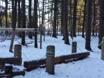 La piste d’hébertisme de la Colonie des Grèves fait peau neuve