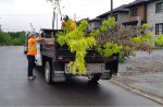 Jour de la Terre : Contrecœur offre 200 arbres à ses citoyens