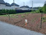 Contrecœur en voie de devenir une ville nourricière