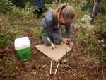 Projet de plantation de 300 000 arbres pour créer un corridor écologique
