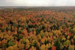 La MRC de Pierre-De Saurel veut faire passer le couvert forestier régional de 20 % à 30 %