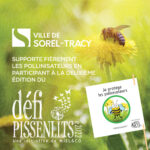 Conserver les pissenlits pour aider les pollinisateurs