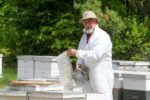 Les apiculteurs de la région frappés de plein fouet cette saison