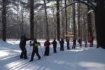 Apprendre le ski de fond un pas à la fois au Parc régional des Grèves