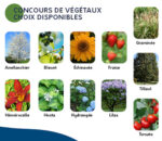 Inscriptions en ligne dès le 1er mai pour une distribution gratuite de végétaux à Sorel-Tracy