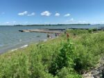La baignade dans le fleuve l’été est possible, révèle une étude