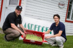 Les températures chaudes font bondir les asperges