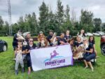 Une première compétition de frisbee canin à Sorel-Tracy