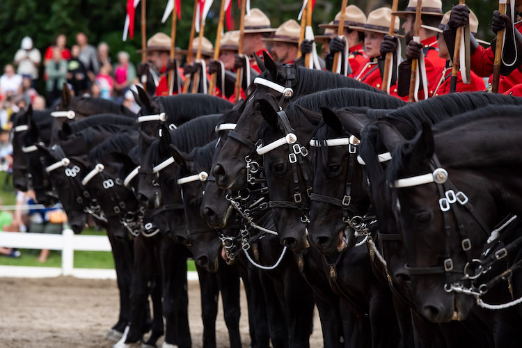 RCMP-2024-0628-145-SG
28 June 2024

RCMP's Canadian Sunset Ceremonies featuring the Musical Ride in the nation's capital, in Ottawa, Ontario, on 28 June, 2024. 

Commissioner / Commissaire  Mike Duheme

Alison Whelan, Senior Assistant Deputy Minister Reform, Accountability and Culture / Sous-ministre adjointe principale, Réforme, Reddition de comptes et Culture

Credit: Serge Gouin, RCMP-GRC
© His Majesty the King in Right of Canada,  2024RCMP-2024-0628-136-SG
28 June 2024

RCMP's Canadian Sunset Ceremonies featuring the Musical Ride in the nation's capital, in Ottawa, Ontario, on 28 June, 2024. 

Commissioner / Commissaire  Mike Duheme

Alison Whelan, Senior Assistant Deputy Minister Reform, Accountability and Culture / Sous-ministre adjointe principale, Réforme, Reddition de comptes et Culture

Credit: Serge Gouin, RCMP-GRC
© His Majesty the King in Right of Canada,  2024