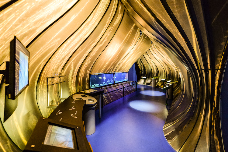 iPixSale/Philippe Manning