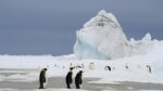 Un film des Aventuriers Voyageurs sur l’Antarctique au Cinéma St-Laurent